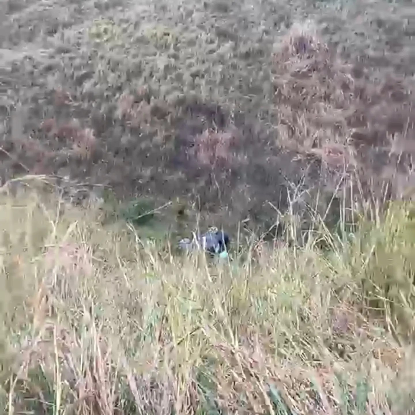 Motorista perde controle da direção e veículo cai em ribanceira na Serra do Marçal
